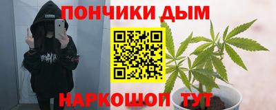 прущие крисы Пенза