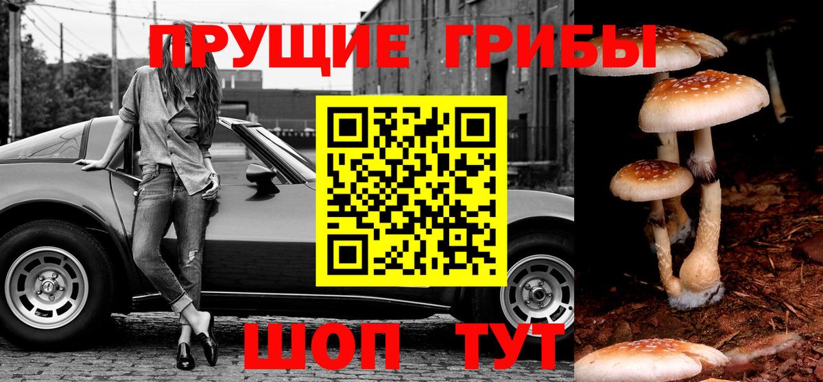Галлюциногенные грибы мухоморы  Вход с VPN  Псилоцибиновые грибы мухоморы  Сызрань 